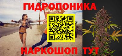 стафф Кимры