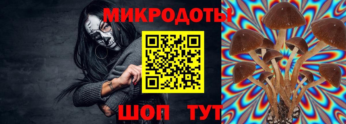 Галлюциногенные грибы мицелий Кувандык